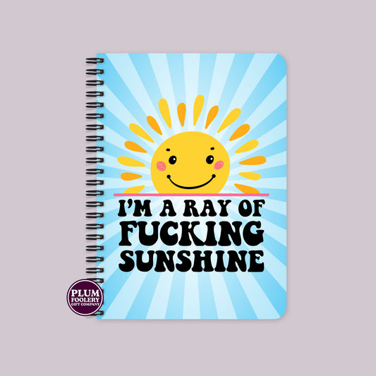 I’m A Ray of Sunshine Notebook Blue