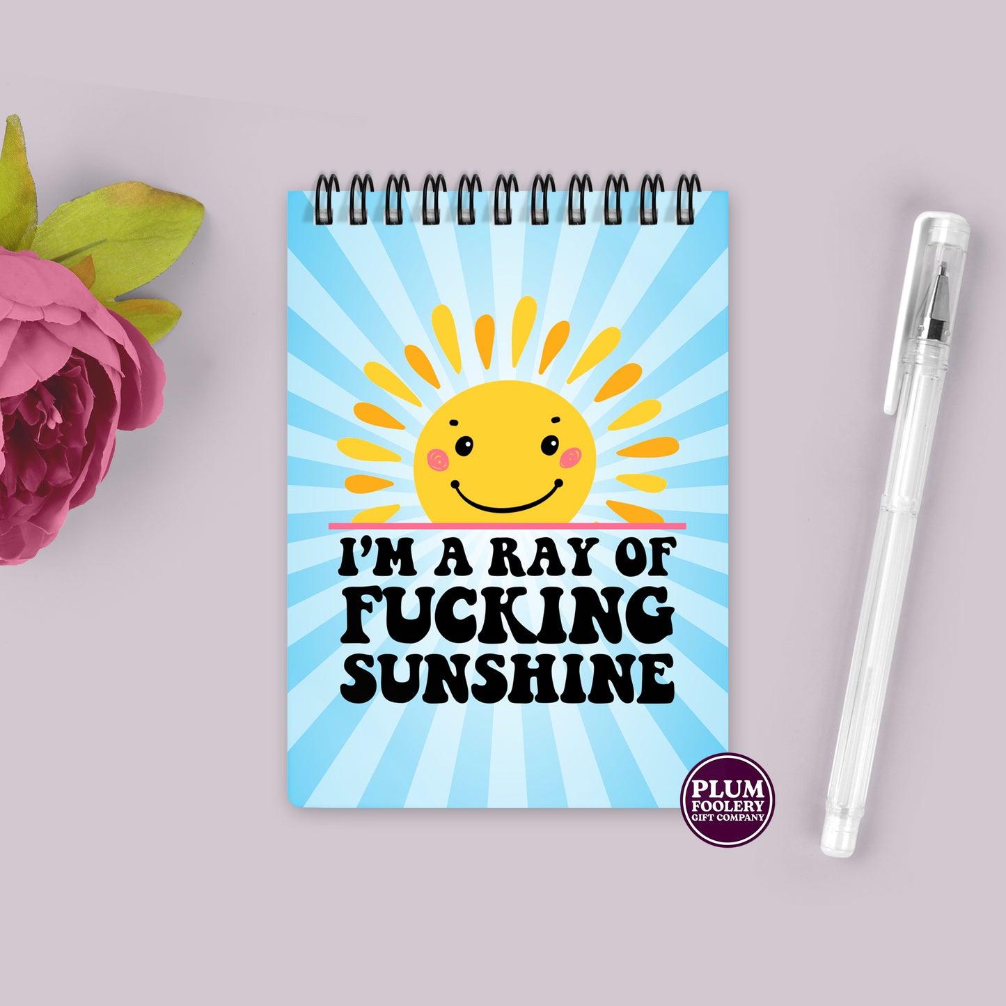 I’m A Ray of Sunshine Notebook Blue
