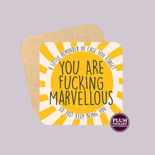 You are Fucking Marvellous Coaster - A Little Reminder