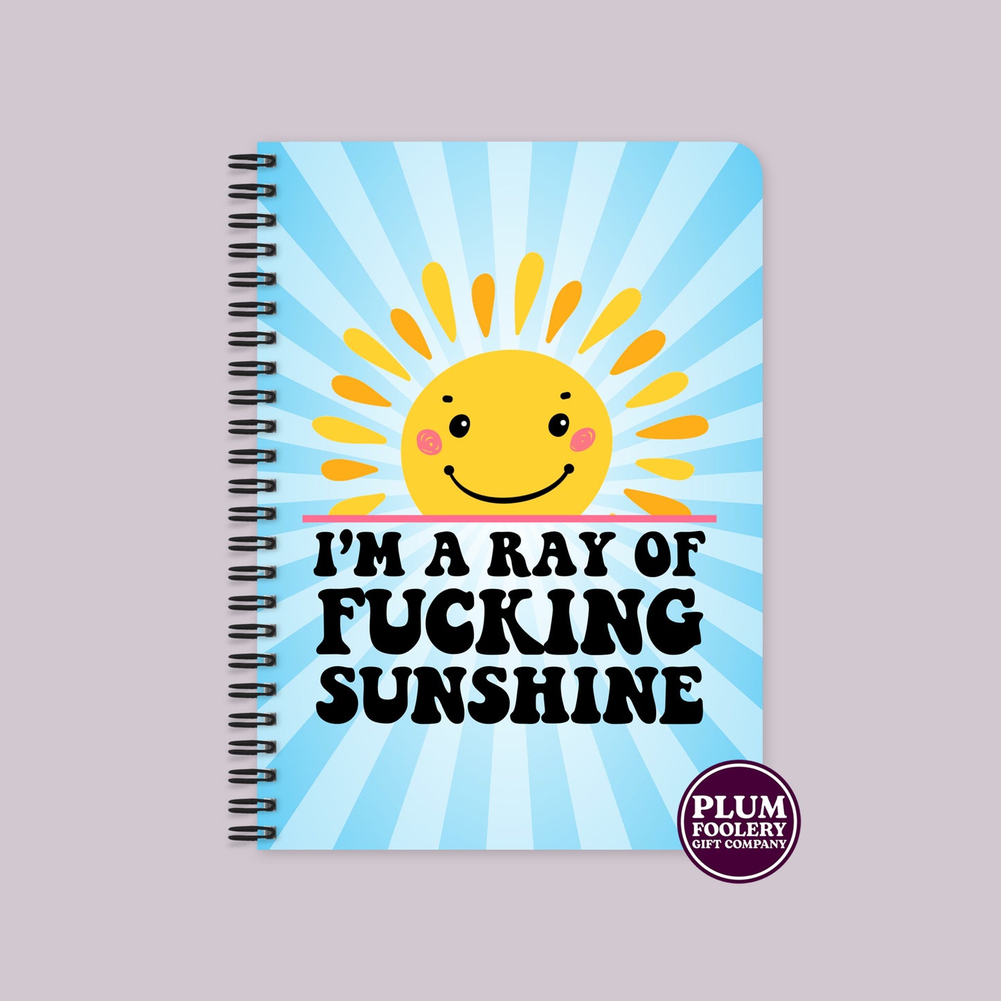 I’m A Ray of Sunshine Notebook Blue