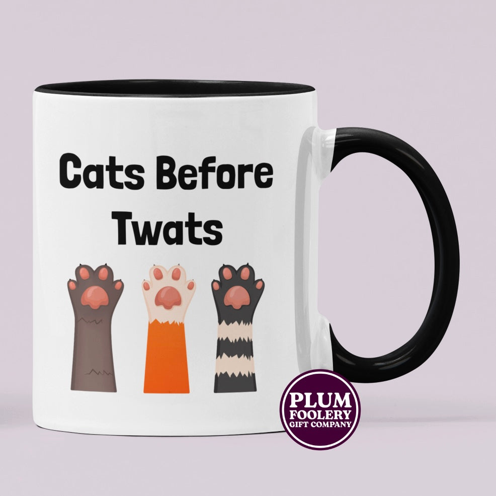 Cats Before Twats Mug