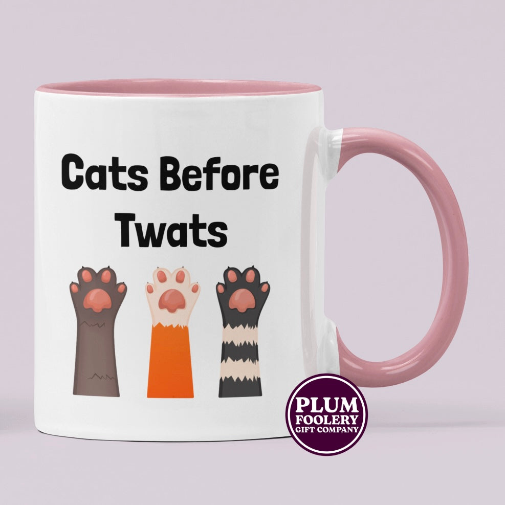 Cats Before Twats Mug