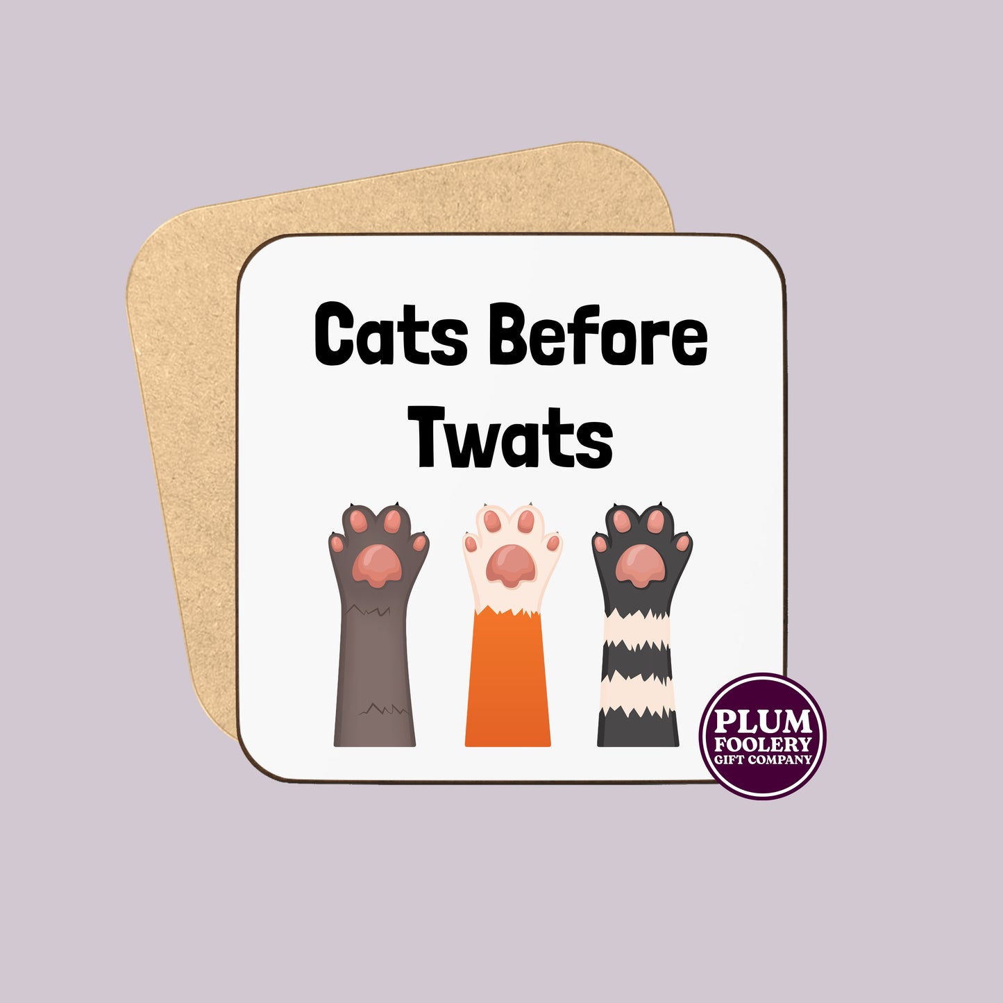 Cats Before Twats Mug